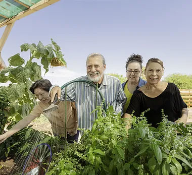 Sustentabilidade - Agricultura familiar